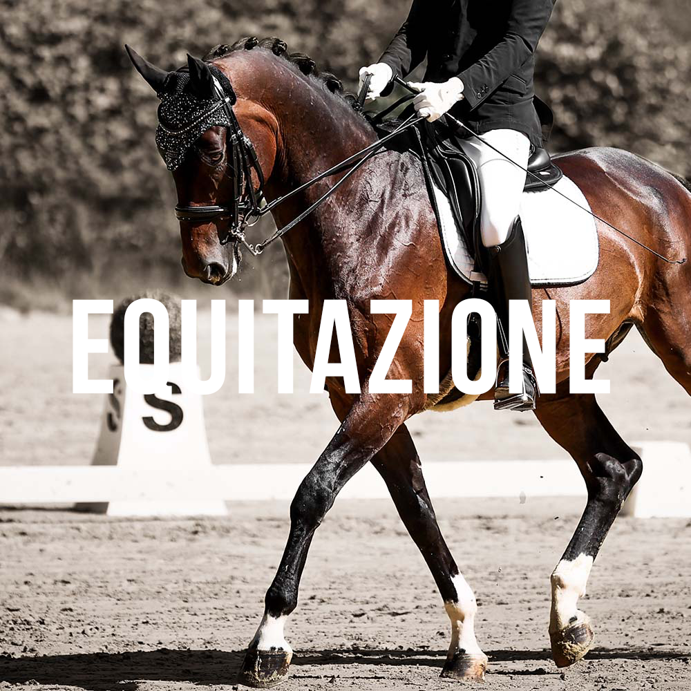 03 equitazione